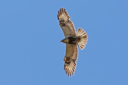 

Aufnameort: n varanger
