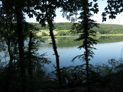 Mindelsee: zwar kein echter Urwald, aber immerhin ein Naturschutzgebiet

Aufnameort: Mindelsee Südufer, Markelfingen, Deutschland
