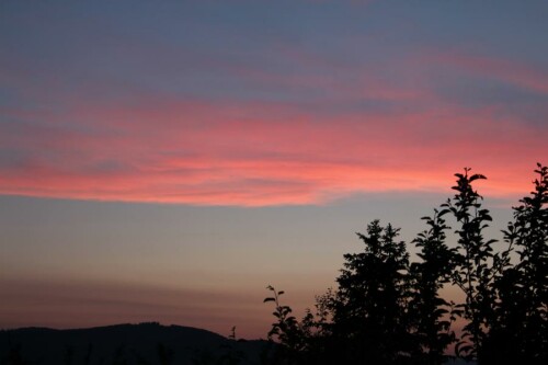 Am Abend eines Tages lässt sich Manches manchmal entspannter betrachten.
Angenehme Erholung?

Aufnameort: Eiershausen - Diezhöltztal
Kamera: Canon EOS 700D