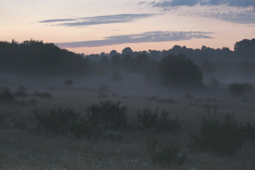 im-zwielicht-vor-sonnenaufgang-14799.jpeg