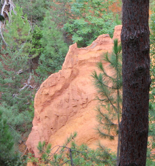 In Rousillon auf dem sentier des ocres

Aufnameort: Rousillon, Provence
Kamera: Canon EOS 600D 1/100; 5,6; 55,0mm; ISO 200