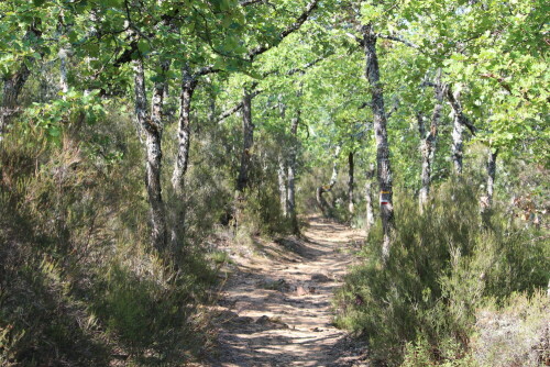 

Aufnameort: La Bruyere, Villars, Provence 08.09.2015
Kamera: Canon EOS 600D 1/80; 5,6; 55,0mm; ISO 100