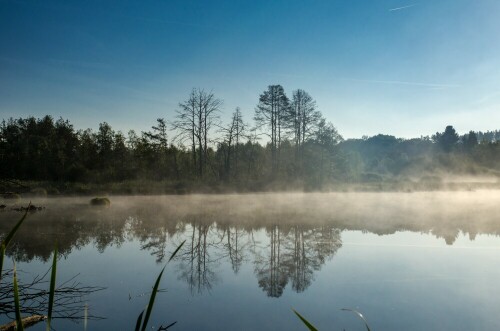 morgenstimmung-am-see-15167.jpeg