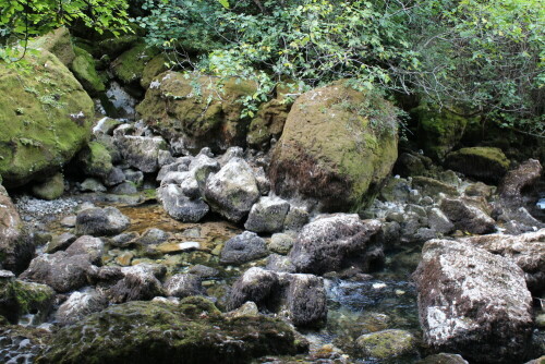 Auf den Felsen wächst das Moos Hedwigia aquatica, das vollkommen austrocknen kann und bei der geringsten Zufuhr von Feuchtigkeit wieder zum Leben erwacht. In Europa wird es außer an der Fontaine de Vaucluse nur noch im Jura und bei Genf gefunden

Aufnameort: Provence, Fontaine de Vaucluse, 14.09.2015
Kamera: Canon EOS 600D 1/30; 5,6; 25,0mm; ISO 200