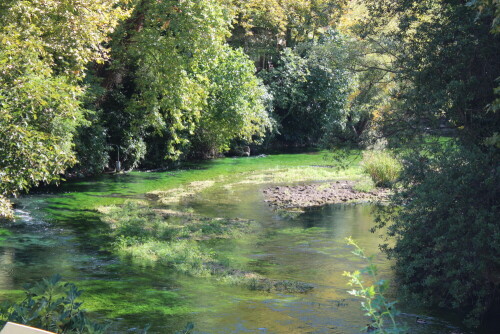 Das kristallklare Wasser erhält seine grüne Farbe durch den im Quellbereich bestandbildenden Merk (Sium latifolium). Die Fontaine de Vaucluse ist eine Karstquelle mit mehreren Austrittsöffnungen eines unterirdischen Wasserlaufs, des Albionflusses. Nach längeren Regenfällen oder zur Schneeschmelze kann das Volumen an der obersten Austrittsöffnung, der eigentlichen Fontaine de Vaucluse, bis zu 85 Kubikmeter Wasser pro Sekunde erreichen.

Aufnameort: Provence, Fontaine de Vaucluse, 14.09.2015
Kamera: Canon EOS 600D 1/80; 5,6; 53,0mm; ISO 100