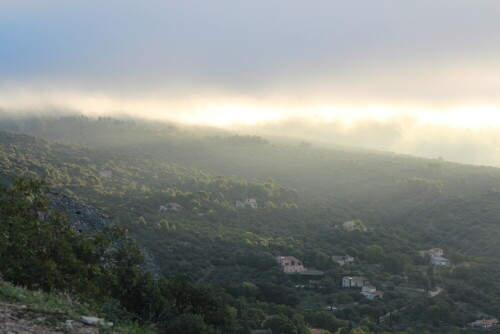 fruher-morgen-in-der-provence-15239.jpeg