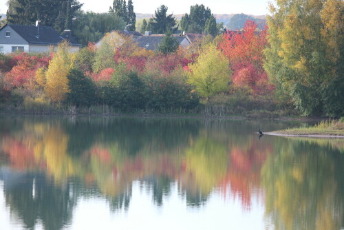 

Aufnameort: Marburg-Niederweimar, Kiesgrube, 23.10.2015
Kamera: Canon EOS 600D 1/250; 5,6; 171,0mm; ISO 160