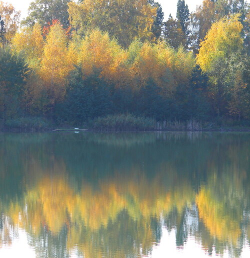 

Aufnameort: Marburg-Niederweimar, Kiesgrube, 23.10.2015
Kamera: Canon EOS 600D 1/200; 7,1; 96,0mm; ISO 100