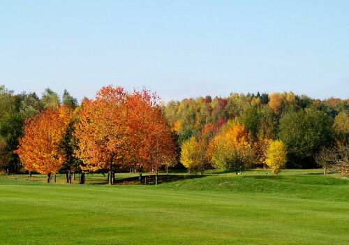 herbstfarben-21618.jpeg