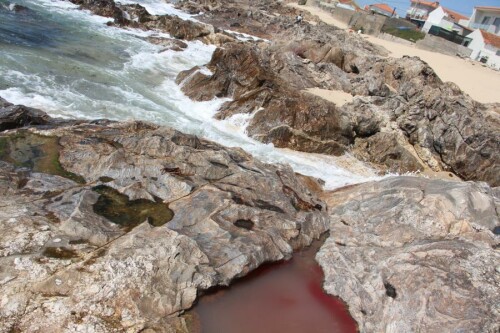 Wie gefährlich Felsenküsten beim Baden besonders für (Klein-)Kinder sich gestalten können wollten vermutlich Fischer hier beim Ausnehmen von Fischen den Tourismus verdeutlichen?


Aufnameort: Nördlich von Porto(Portugal)
Kamera: Canon EOS 700D