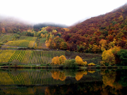 herbst-an-der-mosel-2-21623.jpeg