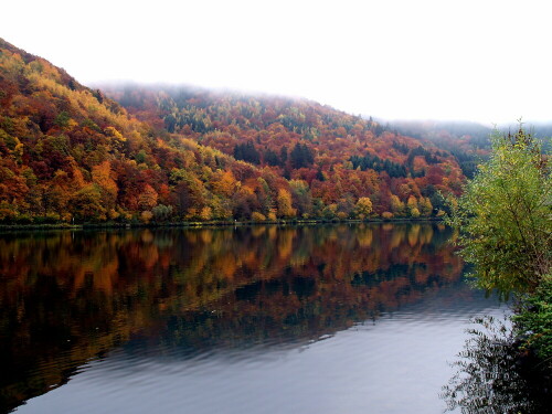 herbst-an-der-mosel-21622.jpeg