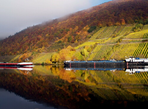 herbst-an-der-mosel-3-21624.jpeg