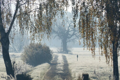 zauberhafter-frostnebelmorgen-15339.jpeg