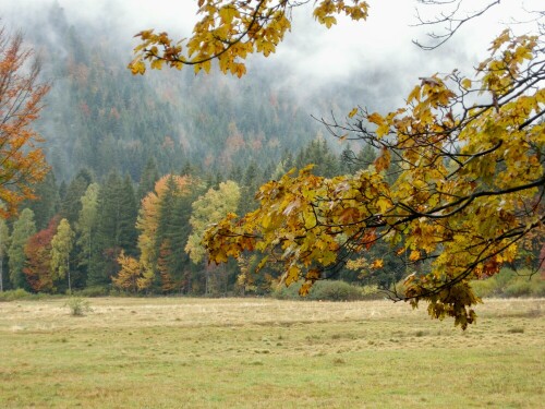 herbstlicher-wanderweg-15413.jpeg