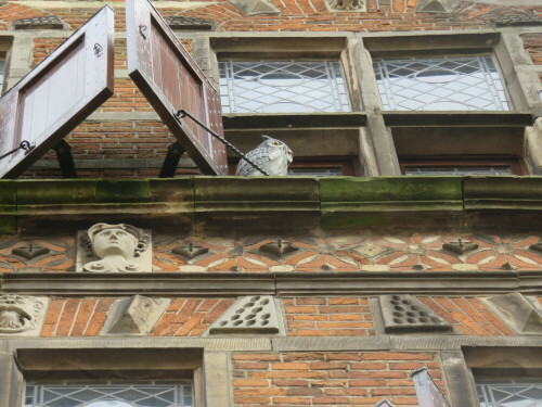 fassade-mit-eule-15572.jpeg