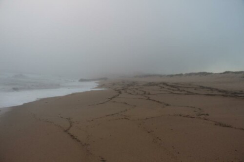 Strand, der durch Gischt vernebelt wird.
https://de.wikipedia.org/wiki/Gischt

Aufnameort: Nördlich von Porto(Portugal)
Kamera: Canon EOS 700D