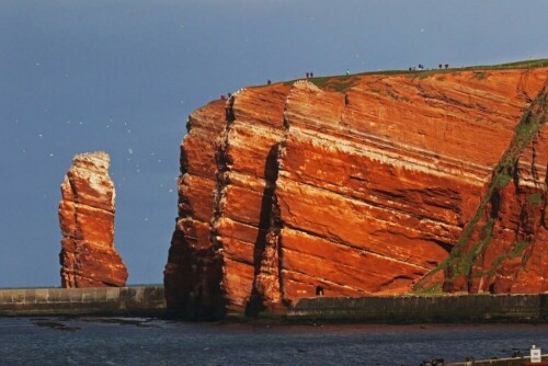 lummenfelsen-helgoland-15436.jpeg