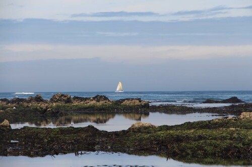 Bei Wind kann Segeln auf dem Meer auch Spaß bereiten.
https://de.wikipedia.org/wiki/Segelboot

Aufnameort: Nördlich von Porto(Portugal)
Kamera: Canon EOS 700D