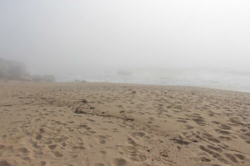 Die Gischt wird durch hochschlagende Wellen an Felsen bei entsprechendem Wetter als eine Art "Nebel" in die Luft  gewirbelt.
https://de.wikipedia.org/wiki/Gischt

Aufnameort: Nördlich von Porto(Portugal)
Kamera: Canon EOS 700D