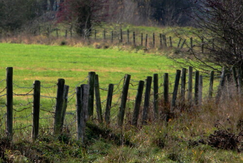 

Aufnameort: Kirchhain, Erlensee, 27.11.2015
Kamera: Canon EOS 600D 1/200; 10,0; 179,0mm; ISO 400