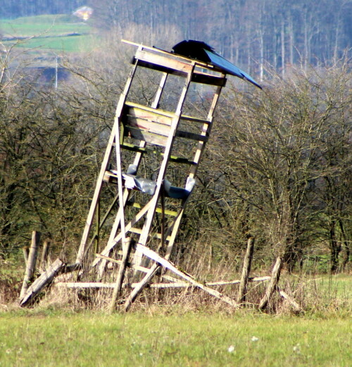 

Aufnameort: Kirchhain, Erlensee, 27.11.2015
Kamera: Canon EOS 600D 1/500; 8,0; 300,0mm; ISO 400