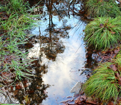 

Aufnameort: Marburg, Lahnberge, 26.11.2015
Kamera: Canon EOS 600D 1/50; 4,5; 34,0mm; ISO 320