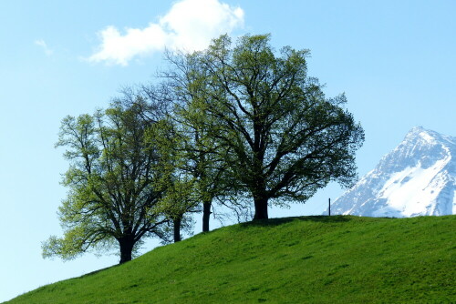 

Aufnameort: am Jakobsweg in der Schweiz
Kamera: Panasonic Lumix FZ 200