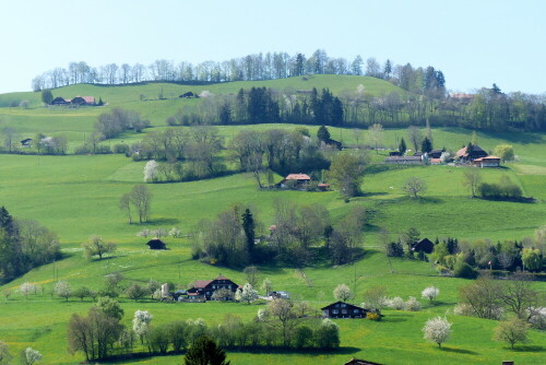 

Aufnameort: am Jakobsweg in der Schweiz
Kamera: Panasonic Lumix FZ 200