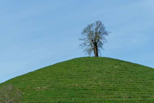 hoch-droben-auf-dem-berg-15656.jpeg