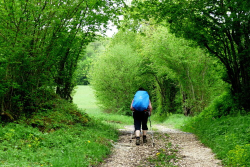 wunderschones-baumtor-am-jakobsweg-in-frankreich-15756.jpeg