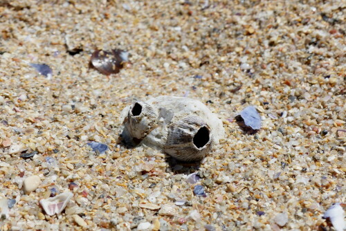 

Aufnameort: am Strand von Fisterra - Spanien
Kamera: Panasonic Lumix FZ 200