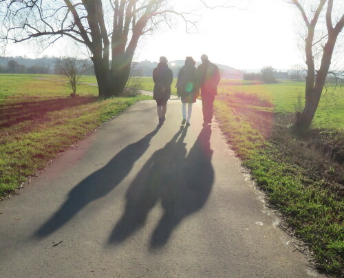 wintersonne-lange-schatten-15766.jpeg