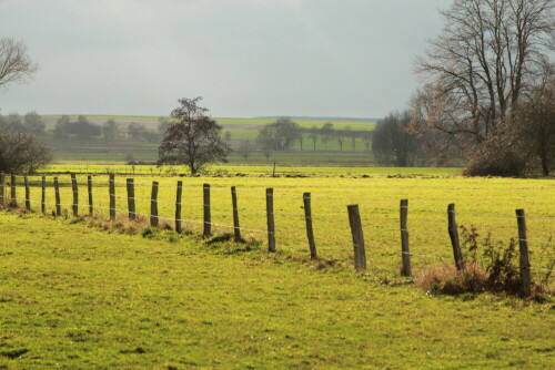 Die Landschaft ist in ständigem Wechsel von Licht und Schatten, ständig ergeben sich neue Bilder beim Verweilen.

Aufnameort: Amöneburger Becken, 13.01.2016
Kamera: Canon EOS 600D 1/640; 10,0; 148,0mm; ISO 800