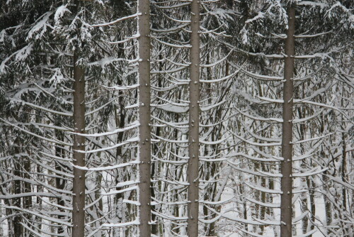 

Aufnameort: Rothaargebirge, 17.01.2016
Kamera: Canon EOS 600D 1/250; 5,0; 135,0mm; ISO 200