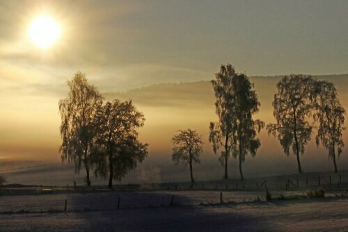 frost-im-sauerland-2-15954.jpeg