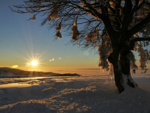 Die Sonne hat schon so viel Kraft, dass die vereisten Windbuchen 
anfangen zu tauen.

Aufnameort: Schauinsland bei Freiburg im Breisgau
Kamera: LUMIX GX 7 Objektiv 14-140