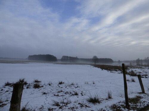 winterlandschaft-16017.jpeg