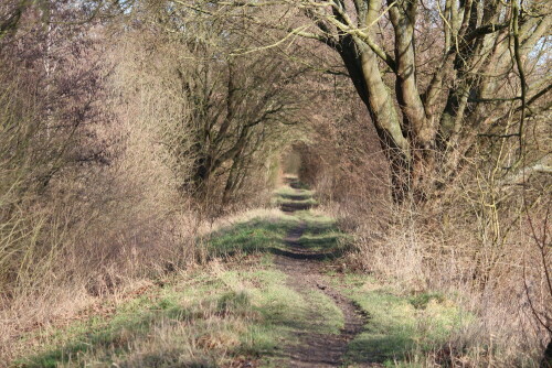 

Aufnameort: Schweinsberger Moor, 28.01.2016
Kamera: Canon EOS 600D 1/160; 6,3; 100,0mm; ISO 100