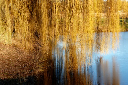 

Aufnameort: Triesdorf
Kamera: Panasonic Lumix FZ 200