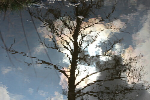 trialog-wasser-baum-himmel-16222.jpeg