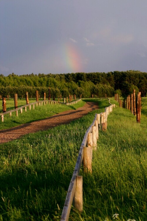 abendstimmung-mit-regenbogen-in-der-schorfheide-16181.jpeg