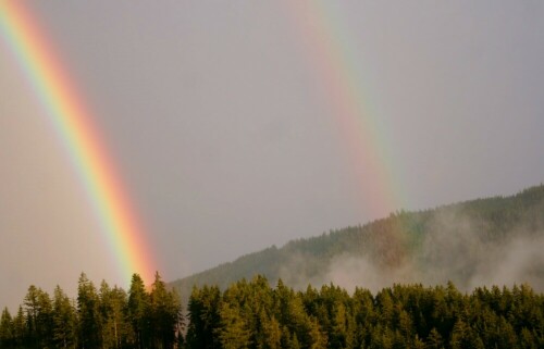 doppelter-regenbogen-16585.jpeg