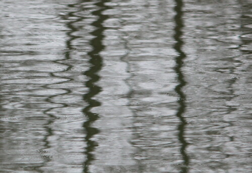 Die Spiegelungen schwingen sich in fast perfekten Sinuskurven durch das Wasser.

Aufnameort: Lahntal bei Goßfelden, 06.03.2016
Kamera: Canon EOS 600D 1/200; 5,6; 146,0mm; ISO 250