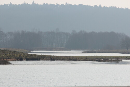 Das naturbelassene Drittel im Zuflussbereich des Aartalstausees

Aufnameort: Aartalsee, 10.03.2016
Kamera: Canon EOS 600D 1/640; 9,0; 171,0mm; ISO 100