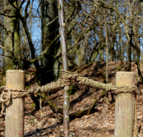 Dieses Bild ist eine schöne Parabel für Elternschaft: Anfangs stützen und schützen, später aber loslassen - auch wenn die Gefahr besteht, dass ein Sturm den Baum fällt. Nicht loslassen hieße abwürgen, der Baum (das Kind) könnte nicht leben...

Aufnameort: Marburg, Dammelsberg, 14.03.2016
Kamera: Canon EOS 600D 1/250; 5,6; 51,0mm; ISO 100