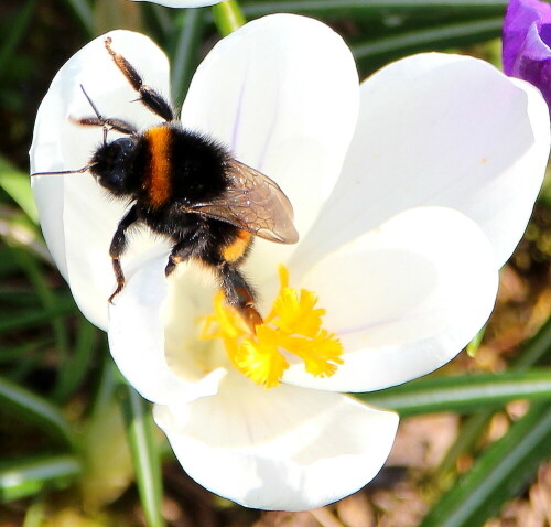 

Aufnameort: Umgebung von Himmelsberg, 18.03.2016
Kamera: Canon EOS 600D 1/250; 7,1; 122,0mm; ISO 100