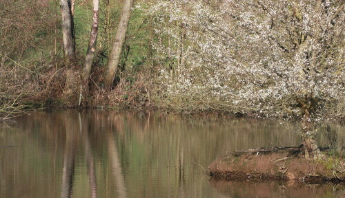 fruhlingserwachen-2016-3-16456.jpeg