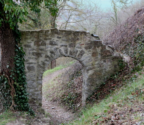 

Aufnameort: NSG Homburg, Gemeinde Gössenheim, 27.03.2016
Kamera: Canon EOS 600D 1/60; 5,6; 46,0mm; ISO 400