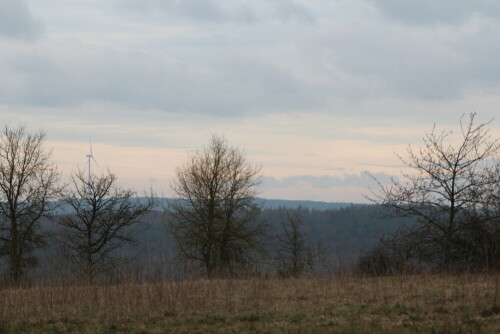 

Aufnameort: NSG Homburg, Gemeinde Gössenheim, 27.03.2016
Kamera: Canon EOS 600D 1/200; 7,1; 97,0mm; ISO 100